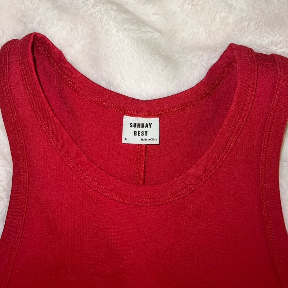 Aritzia bodycon